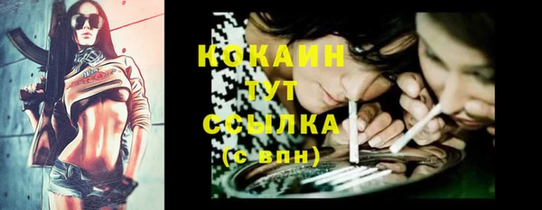 Альфа ПВП Белокуриха