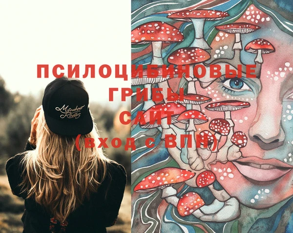 марки nbome Беломорск