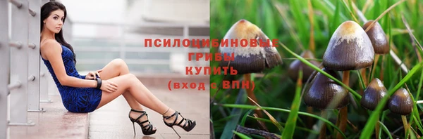 трава Баксан