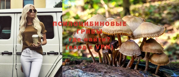 Альфа ПВП Белокуриха