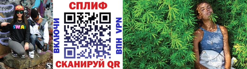 Бошки марихуана Ganja darknet клад omg вход Олёкминск где купить наркотик